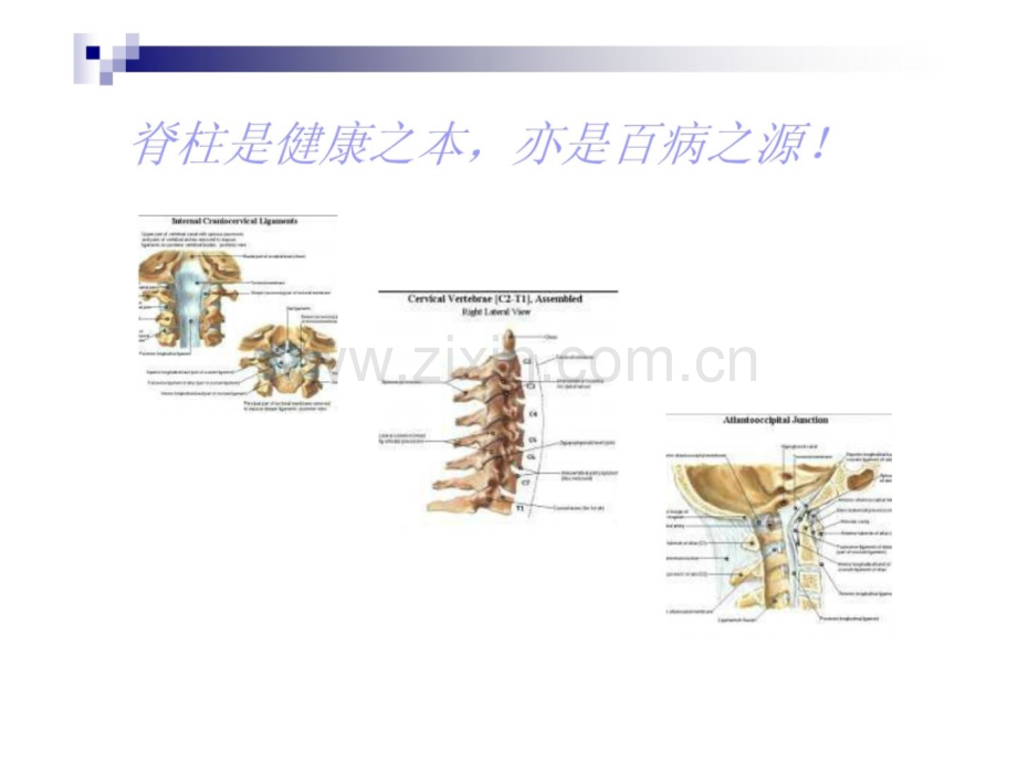 仰卧拔伸手段治疗颈椎病技巧5.ppt_第3页