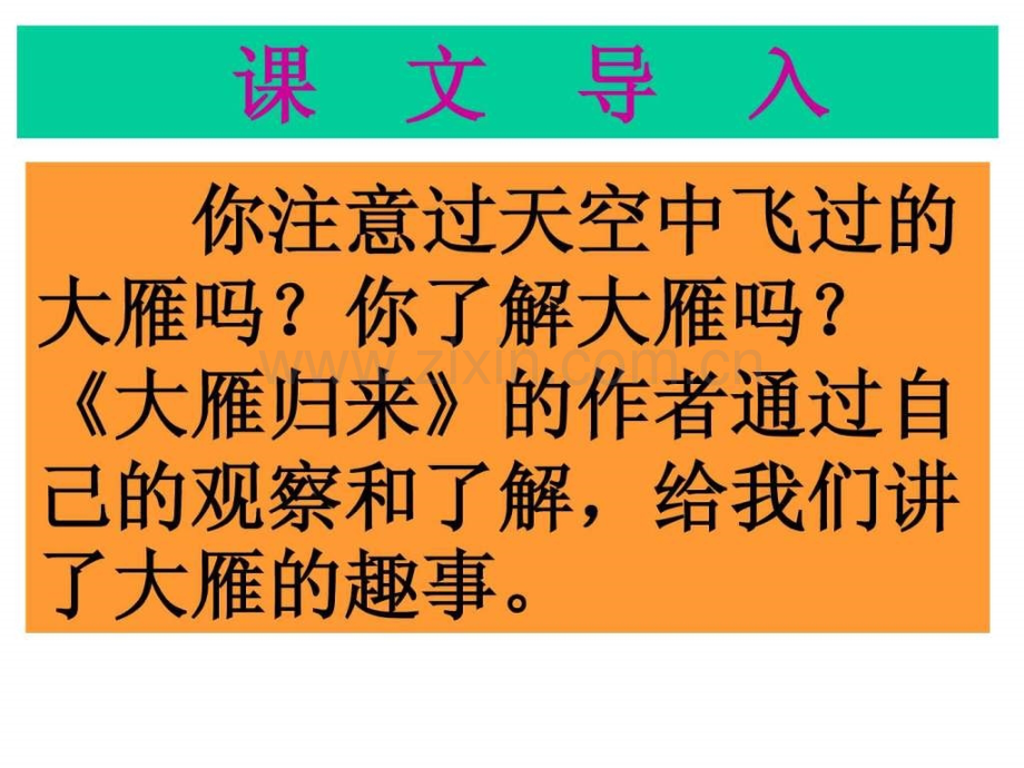 《大雁归来》.ppt_第1页