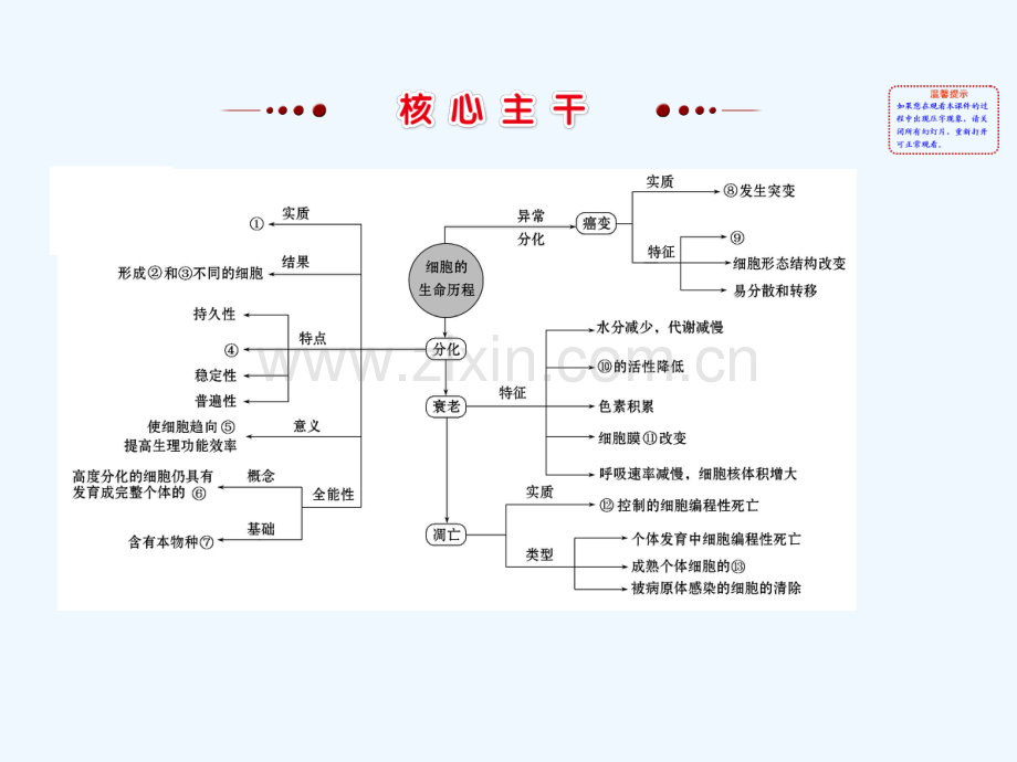 2018届高三生物二轮复习-2.5-专题5-细胞的分化、衰老、凋亡和癌变.ppt_第3页