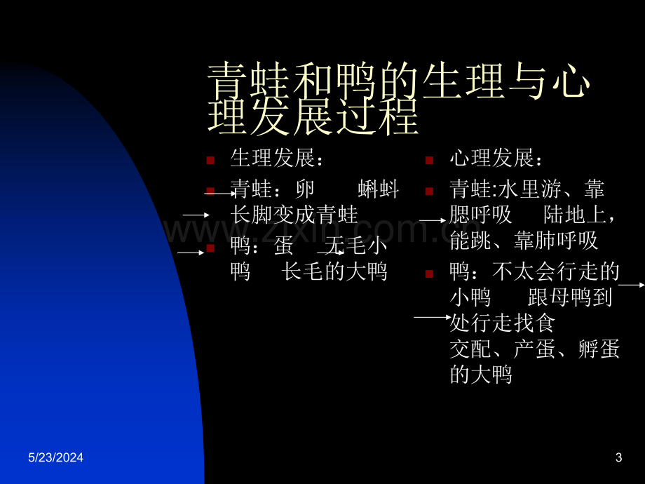 儿童心理发展与教育.ppt_第3页