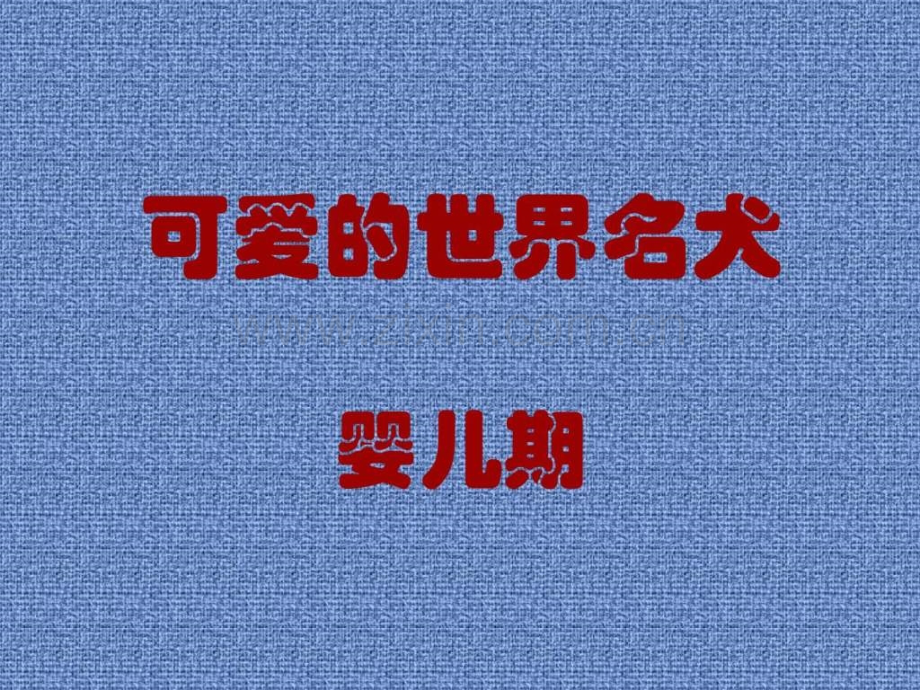 世界名犬(幼犬)畜牧兽医农林牧渔专业资料.ppt_第1页