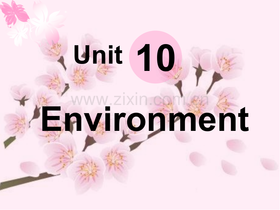 职高英语基础模块下册Unit10Environment.ppt_第1页