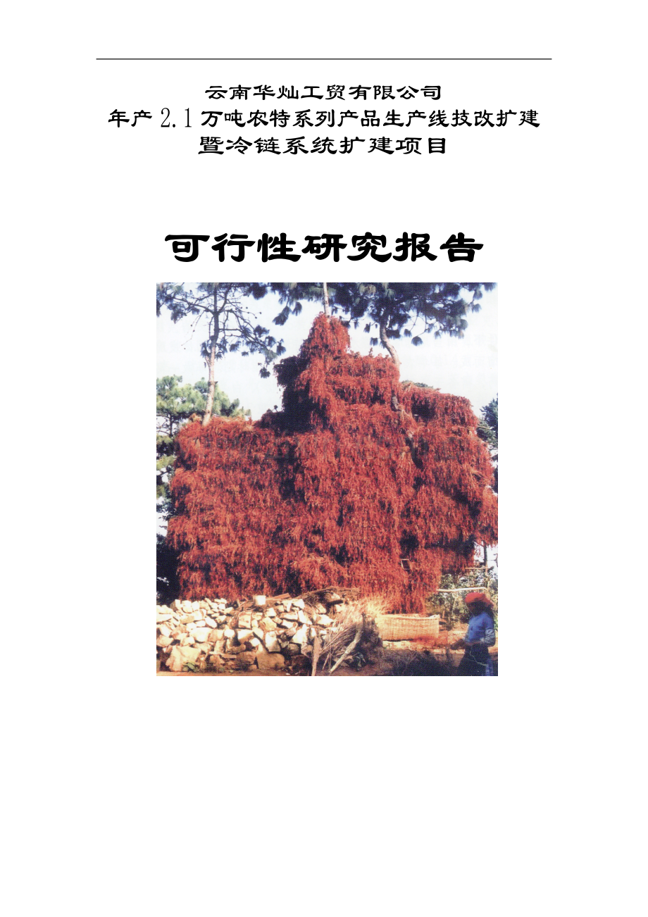 年产2.1万吨农特系列产品生产线技改扩建项目可行性研究报告书.doc_第1页