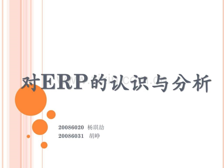 对ERP认识与分析终稿.ppt_第1页