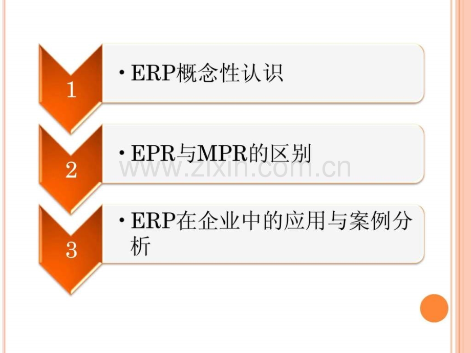 对ERP认识与分析终稿.ppt_第2页