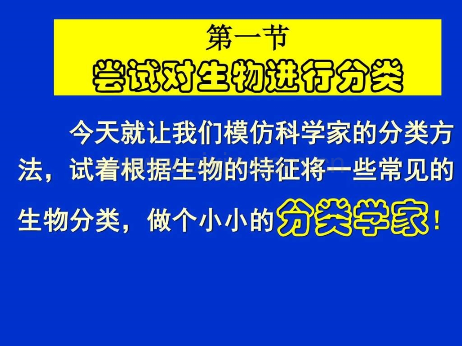 八级生物第一节-尝试对生物进行分类人教版.ppt_第2页