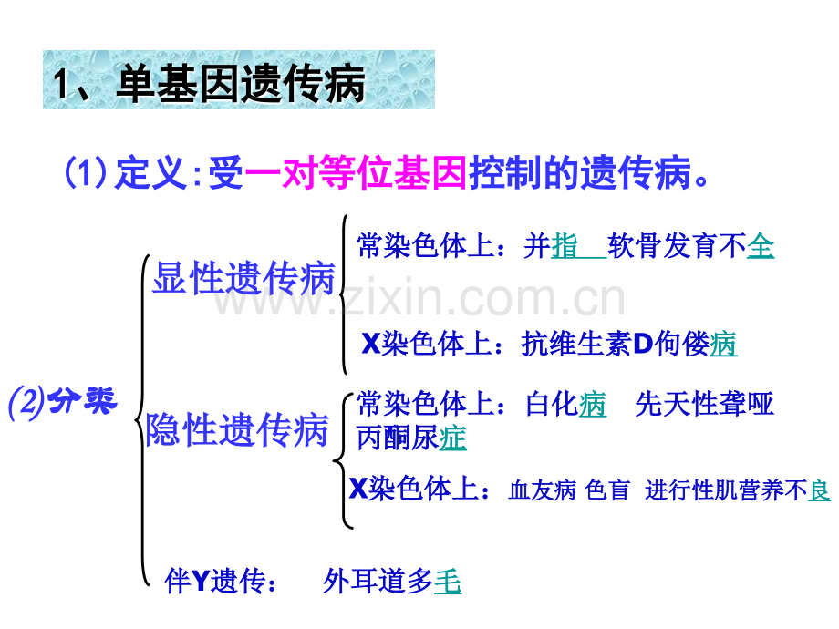 人类遗传病.ppt_第3页