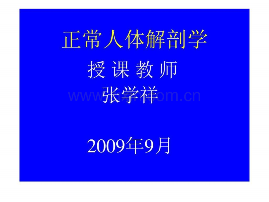 中山大学李峰教授系统解剖学(-).ppt_第2页