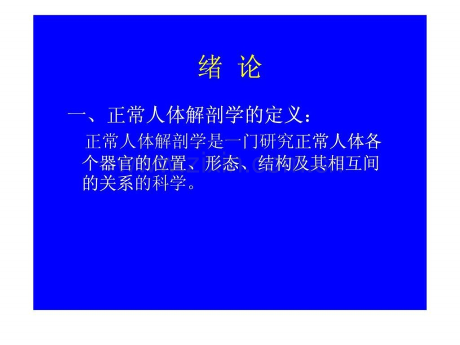 中山大学李峰教授系统解剖学(-).ppt_第3页