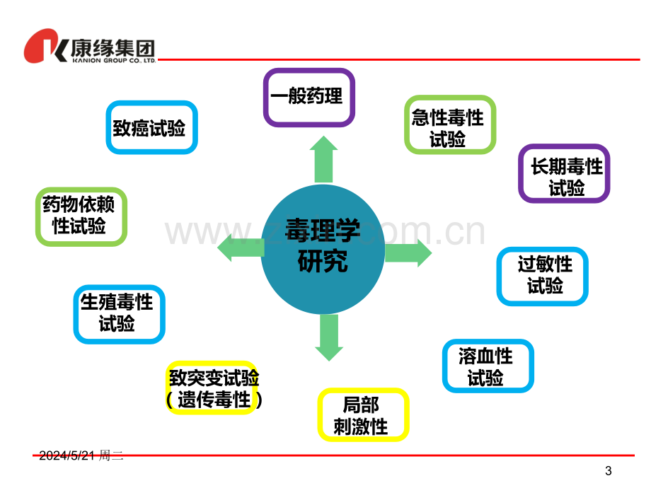 药物非临床安全评价关键技术.ppt_第3页