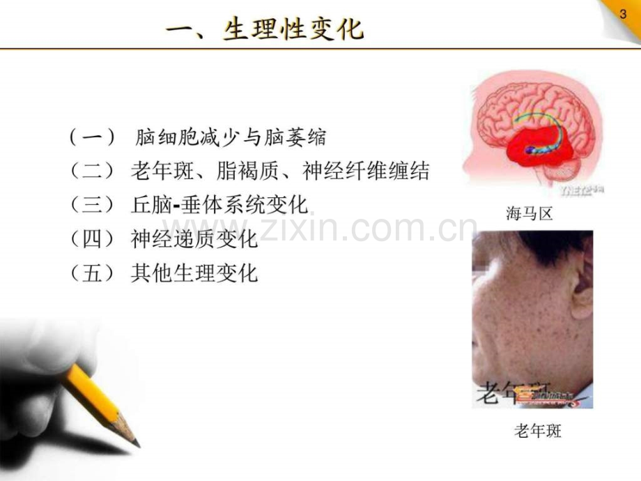 【精编】第九节老期精神病常见疾病病人护理.ppt_第3页