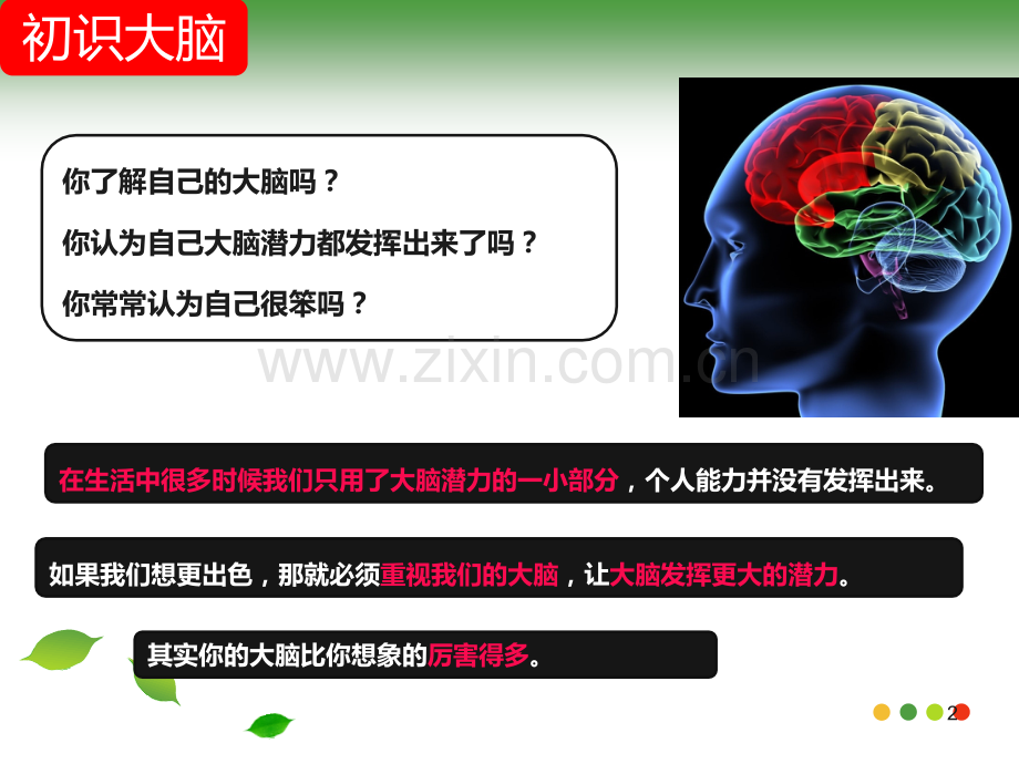 脑图介绍及原理.ppt_第2页