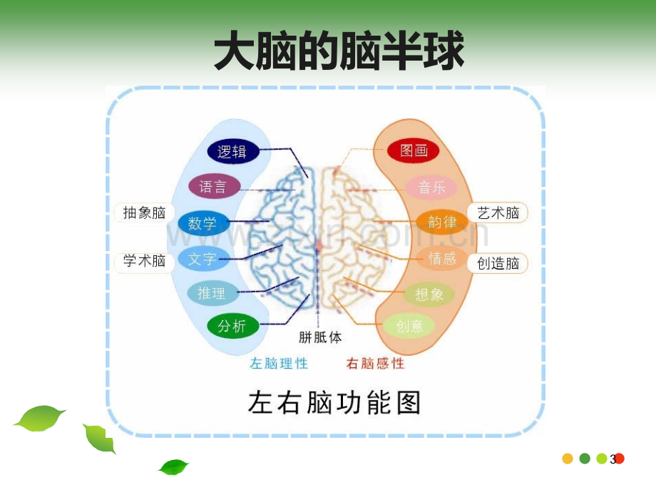 脑图介绍及原理.ppt_第3页