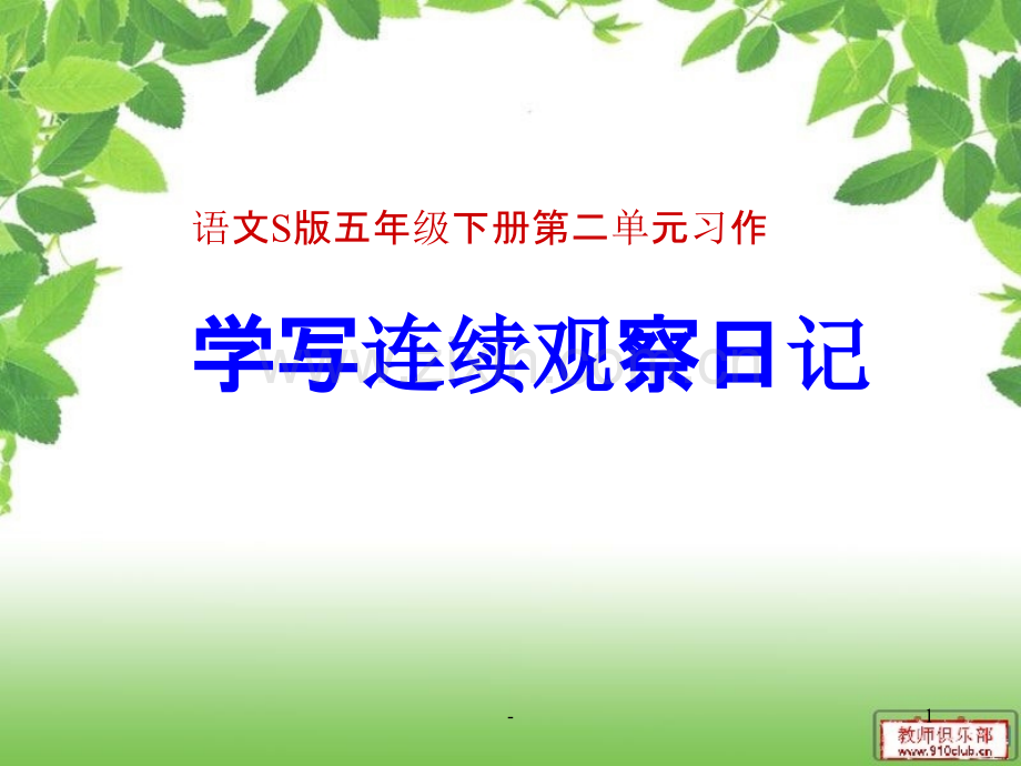 连续观察日记.ppt_第1页