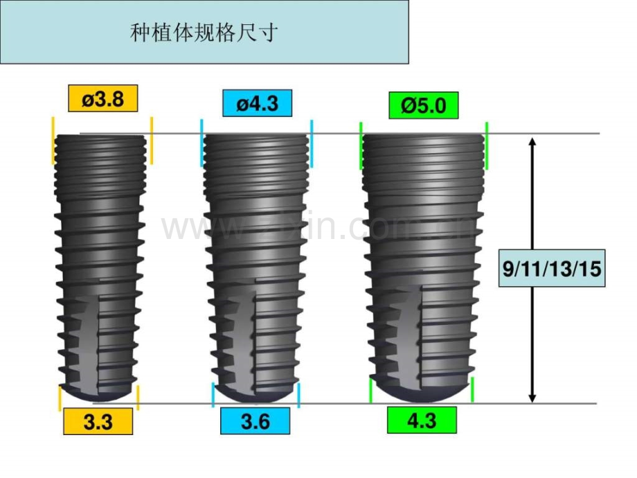 WEGO种植体外科流程(非正式版).ppt_第3页