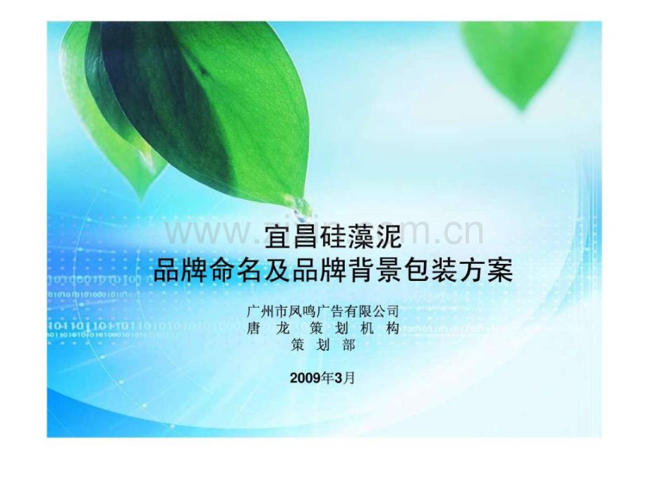 宜昌硅藻泥品牌命名及背景包装方案090310.ppt_第1页