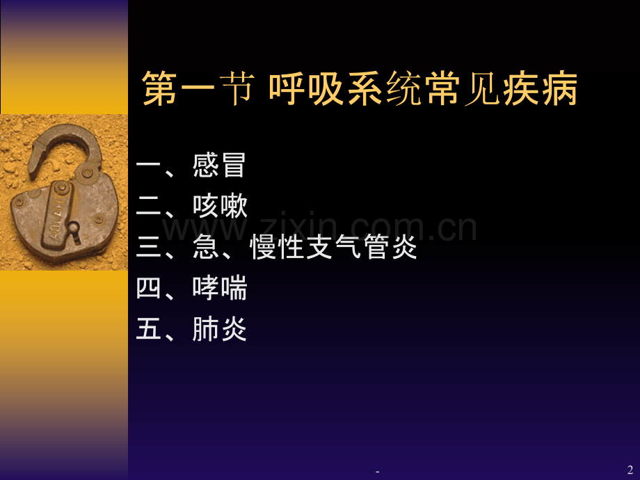 第一章-呼吸系统药用植物.ppt_第2页