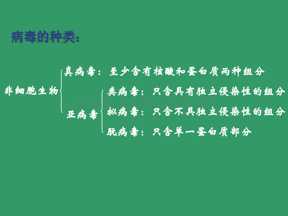 【生物】第四章--病毒.ppt_第2页