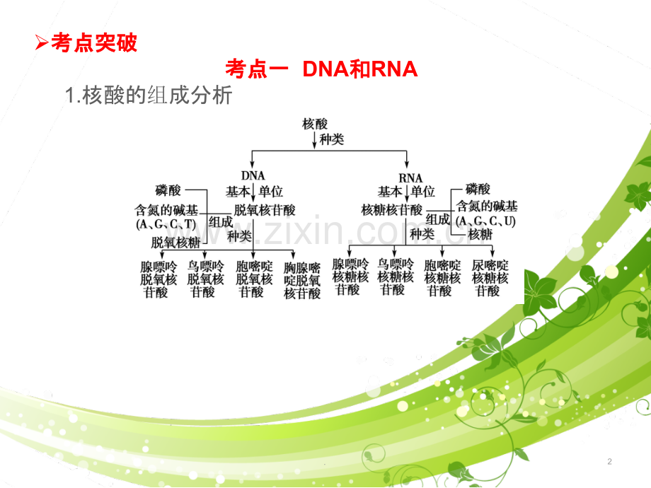 遗传信息的携带者—核酸细胞中的糖类和脂质.ppt_第2页