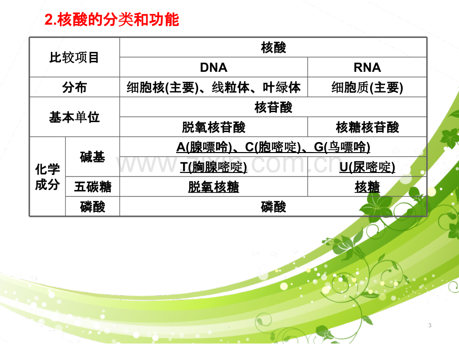 遗传信息的携带者—核酸细胞中的糖类和脂质.ppt_第3页