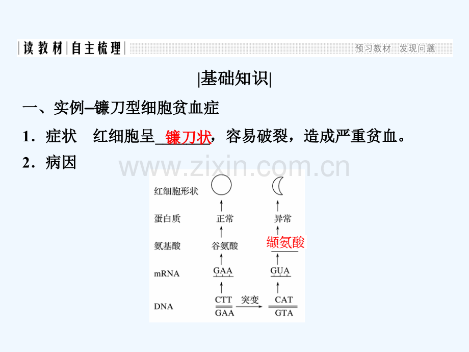 2017-2018学年高中生物-第四章-遗传的分子基础-第16课时-基因突变-苏教版必修2.ppt_第2页