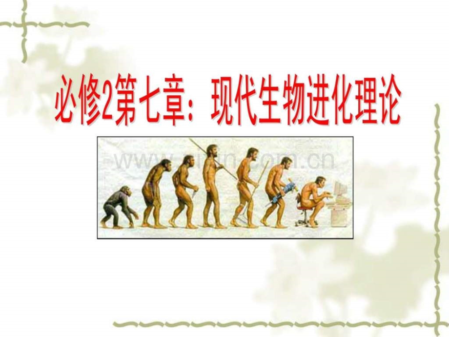 一轮复习现代生物进化理论.ppt_第1页