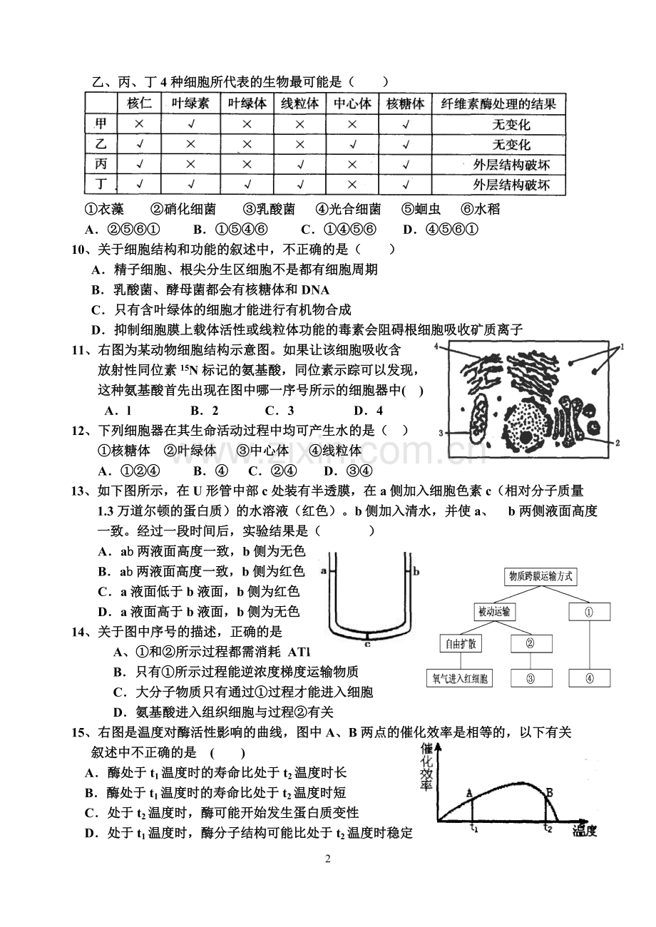 高一生物期末考试题及答案.pdf_第2页