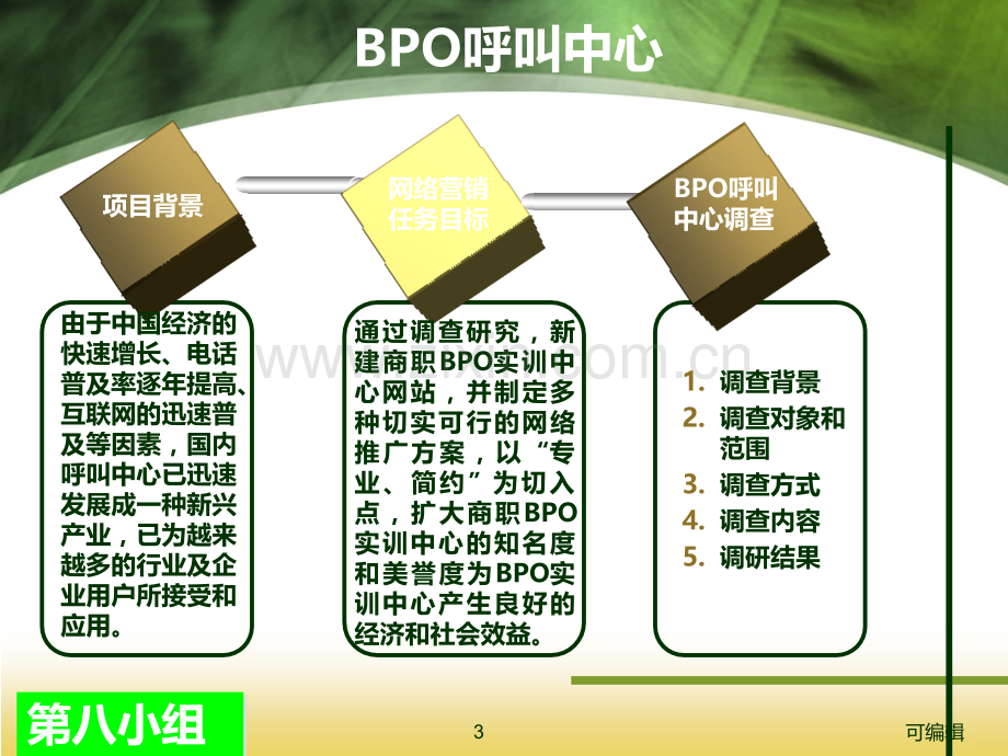 玩转空间BPO网络营销策划.ppt_第3页
