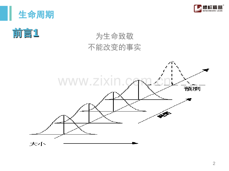 TS五大工具APQPFMEAPPAPSPCMSA.ppt_第2页