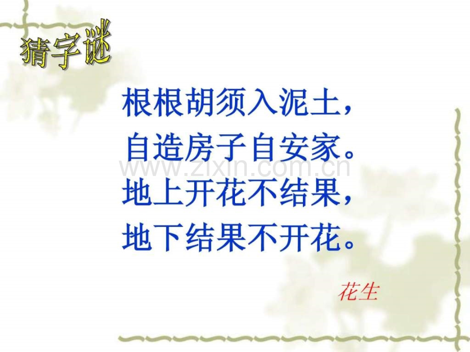 《落花生》教学.ppt_第1页