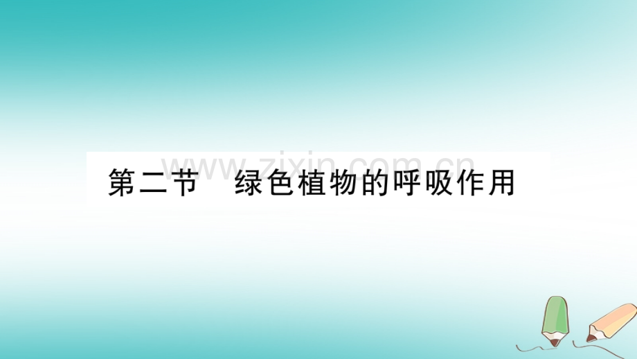 2018秋七年级生物上册-第3单元-第5章-第2节-绿色植物的呼吸作用习题优质新人教版.ppt_第1页