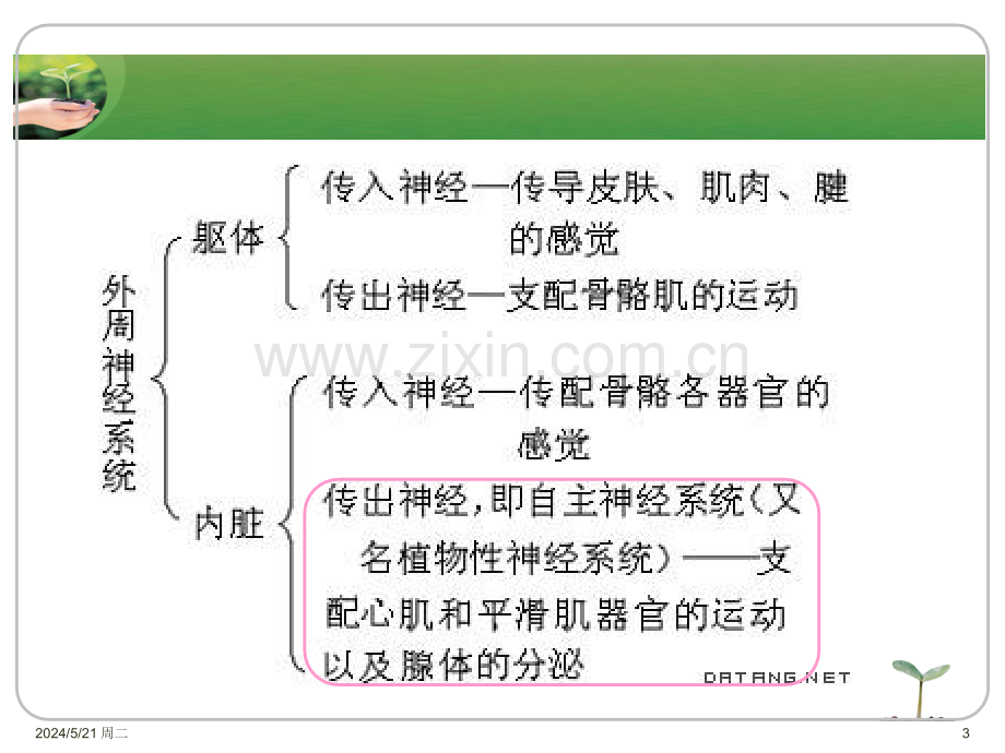 解痉药及肌肉松弛药.ppt_第3页