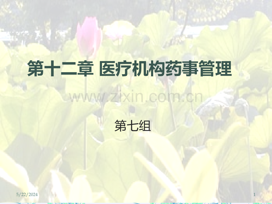 医疗服务体系和药学服务体系.ppt_第1页