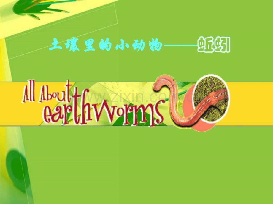 三级上科学蚯蚓教科版.ppt_第1页