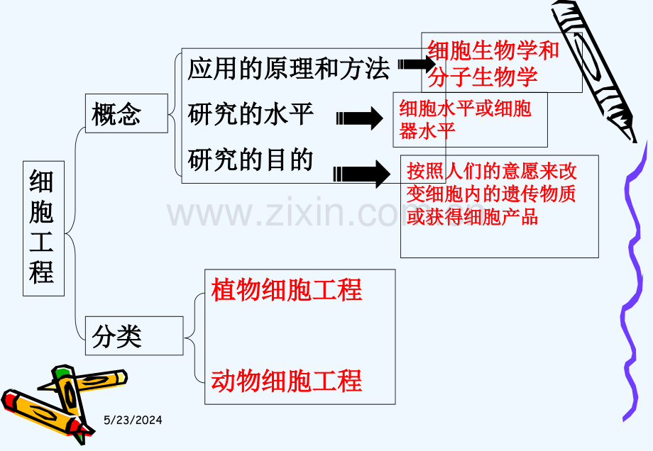 ..植物细胞工程的基本技术-19_第3页