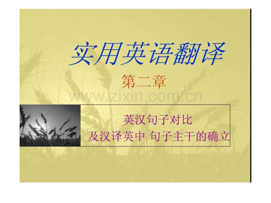 实用英语翻译第二章.ppt_第1页