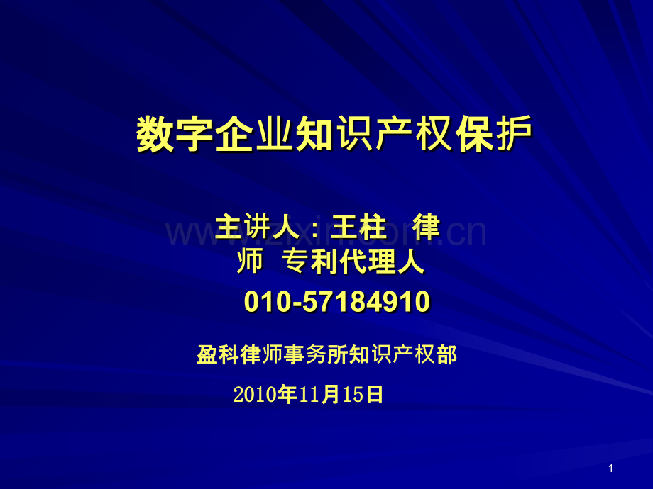 数字企业知识产权保护-.ppt_第1页