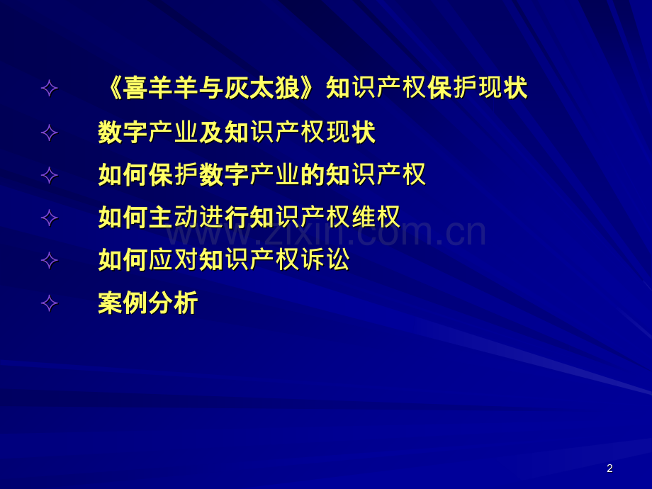 数字企业知识产权保护-.ppt_第2页