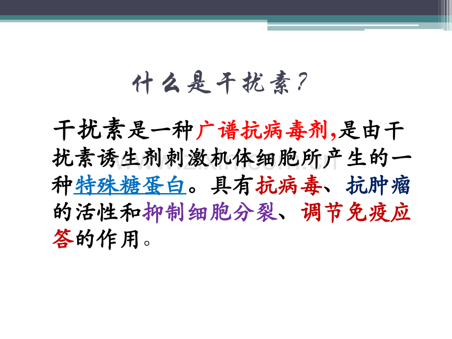 新型复合α干扰素pptx.ppt_第2页