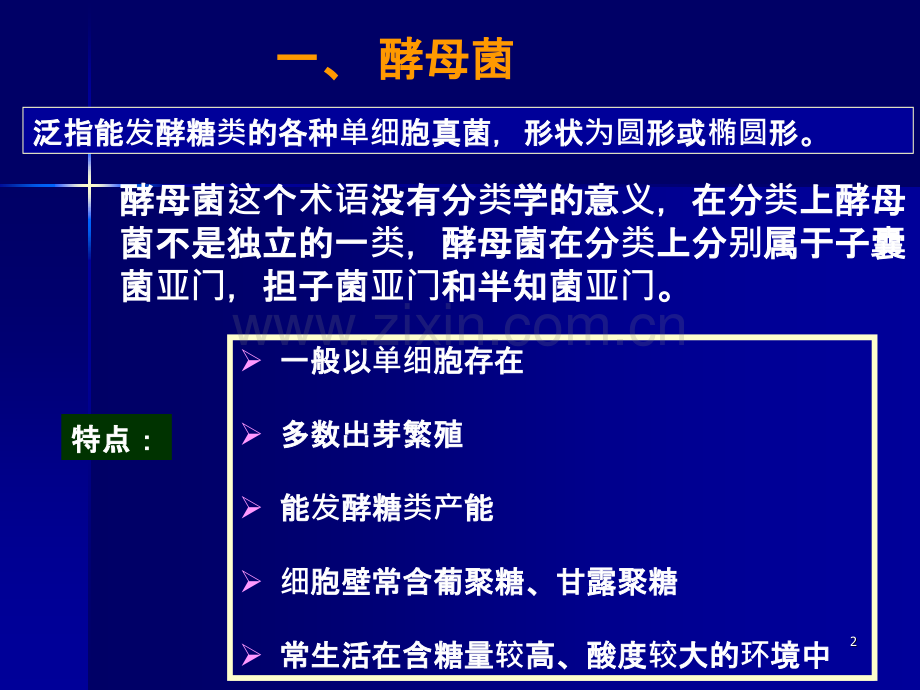 微生物考研真核微生物.ppt_第2页