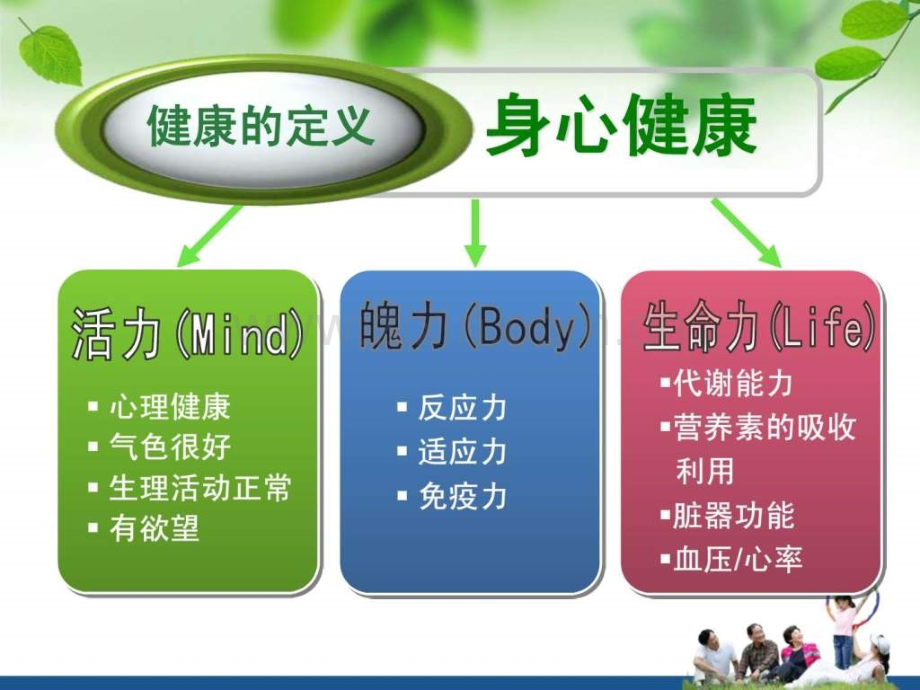 健康与养生保健.ppt_第3页