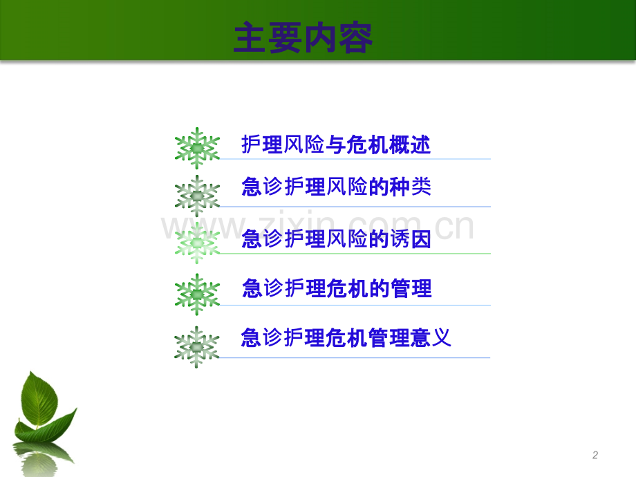 急诊护理危机管理.ppt_第2页