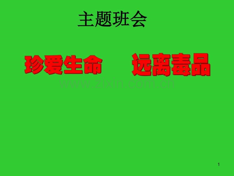 学七级上学期主题班会珍爱生命-远离毒品(.ppt_第1页