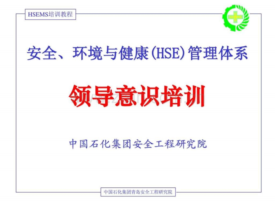 安全环境与健康(HSE)管理体系领导意识培训.ppt_第1页