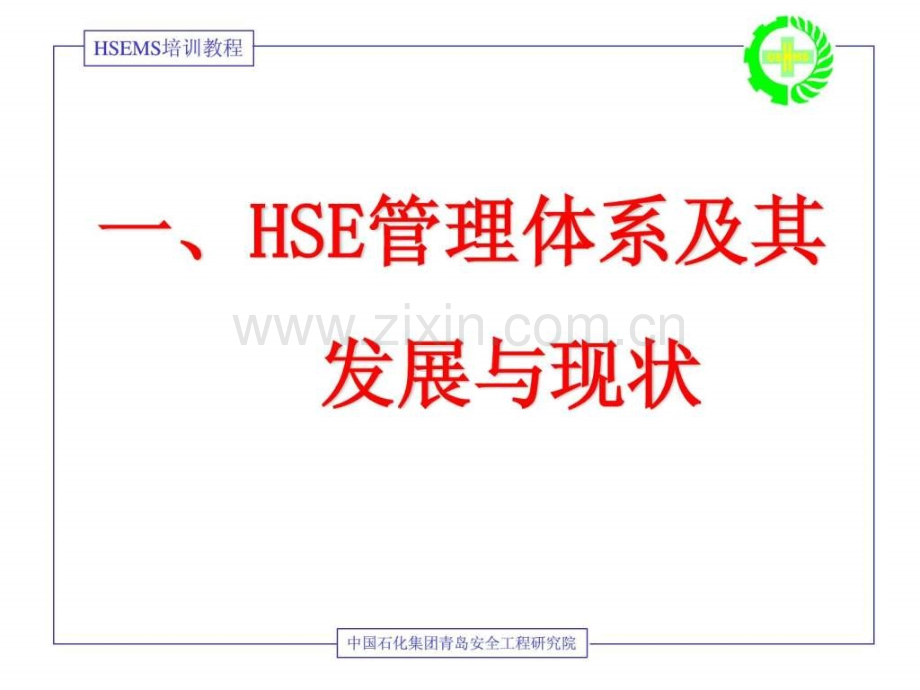 安全环境与健康(HSE)管理体系领导意识培训.ppt_第3页