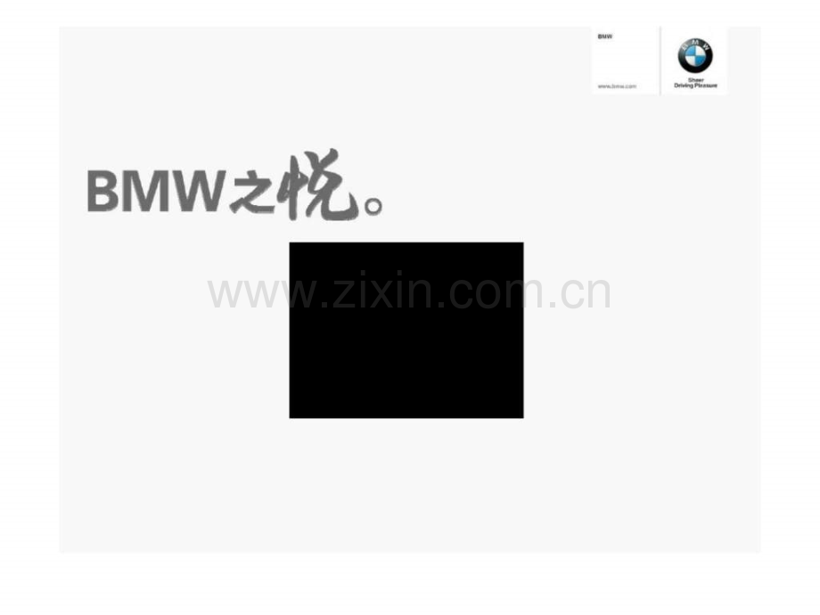 宝马bmw2010品牌传播方案.ppt_第3页