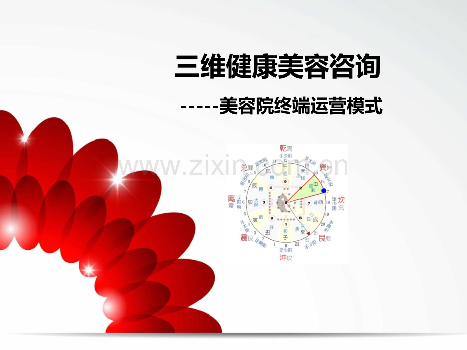 三维健康美容咨询.终端运营模式-.ppt_第1页