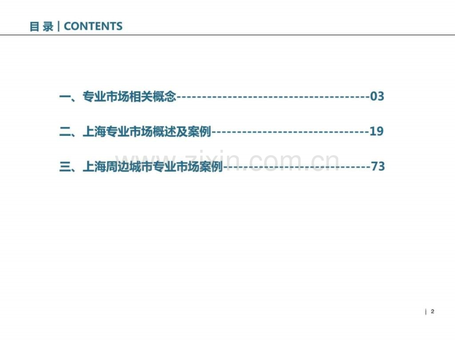 专业市场研究及主要案例分析.ppt_第2页