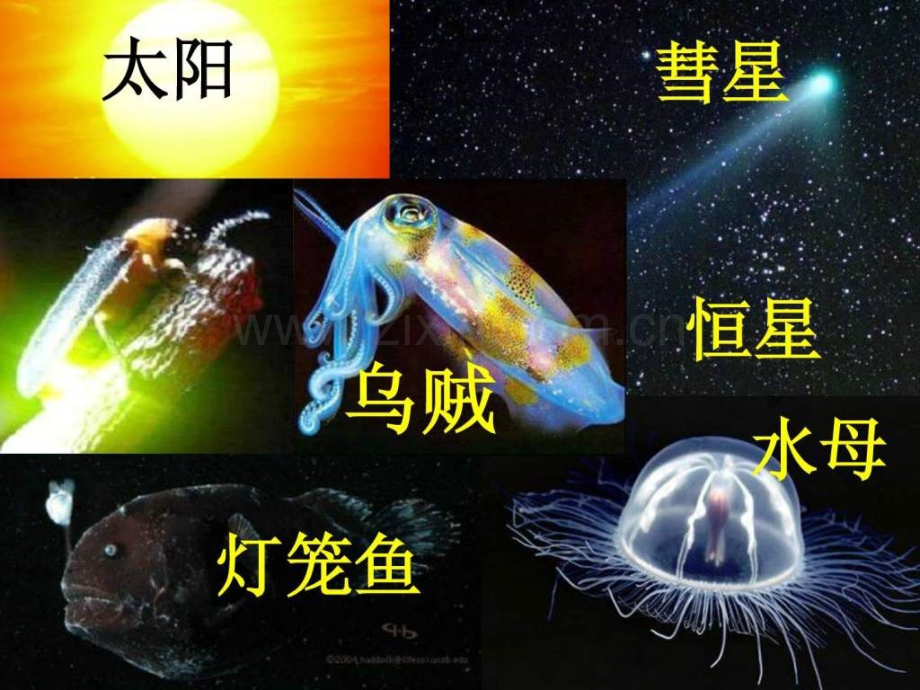 人教版物理第十四章《光直线传播》.ppt_第3页