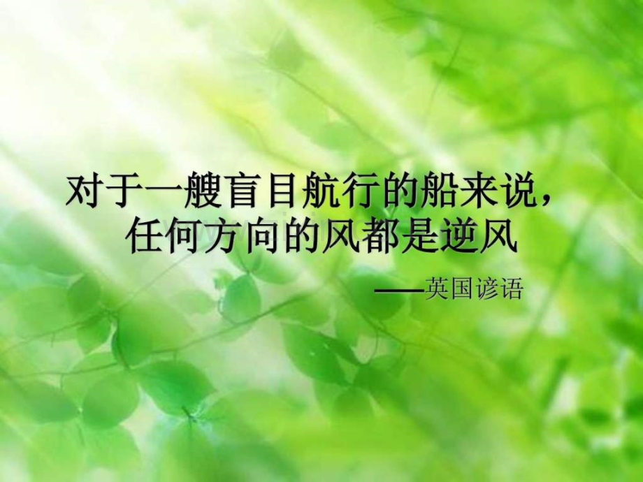 STP营销管理战略L.ppt_第2页